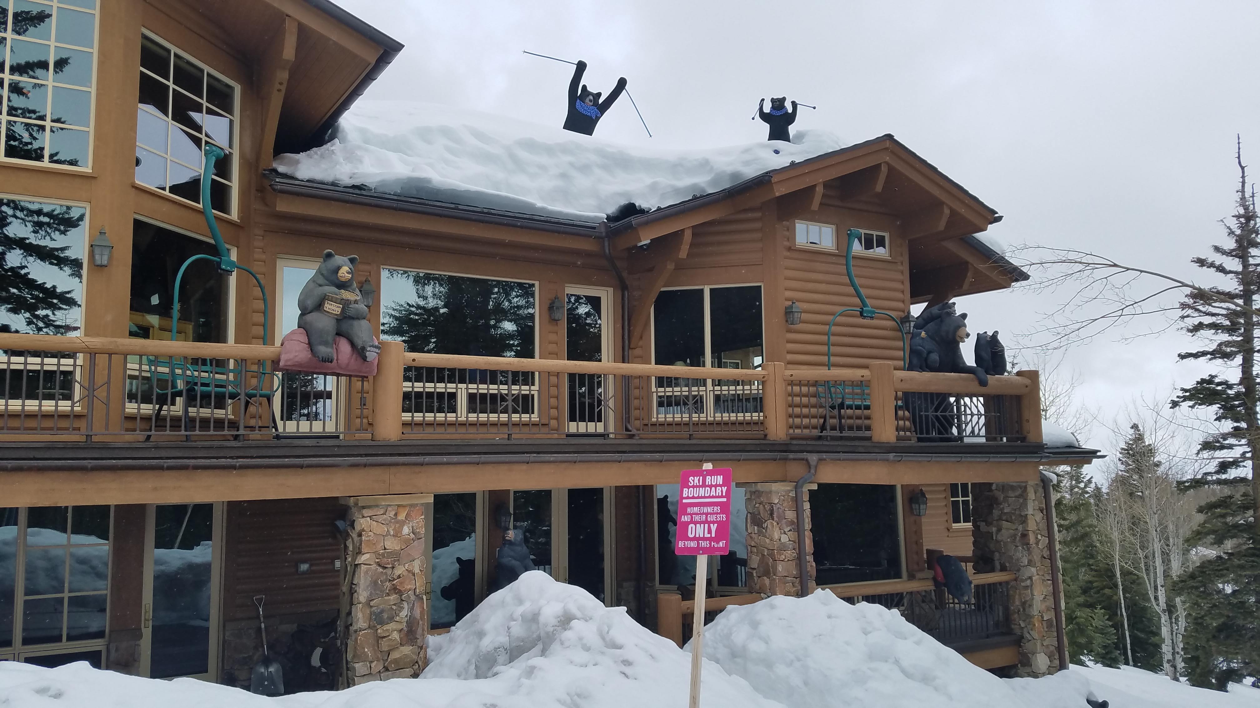 Ski Trips